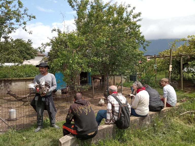 Un jour à la ferme !